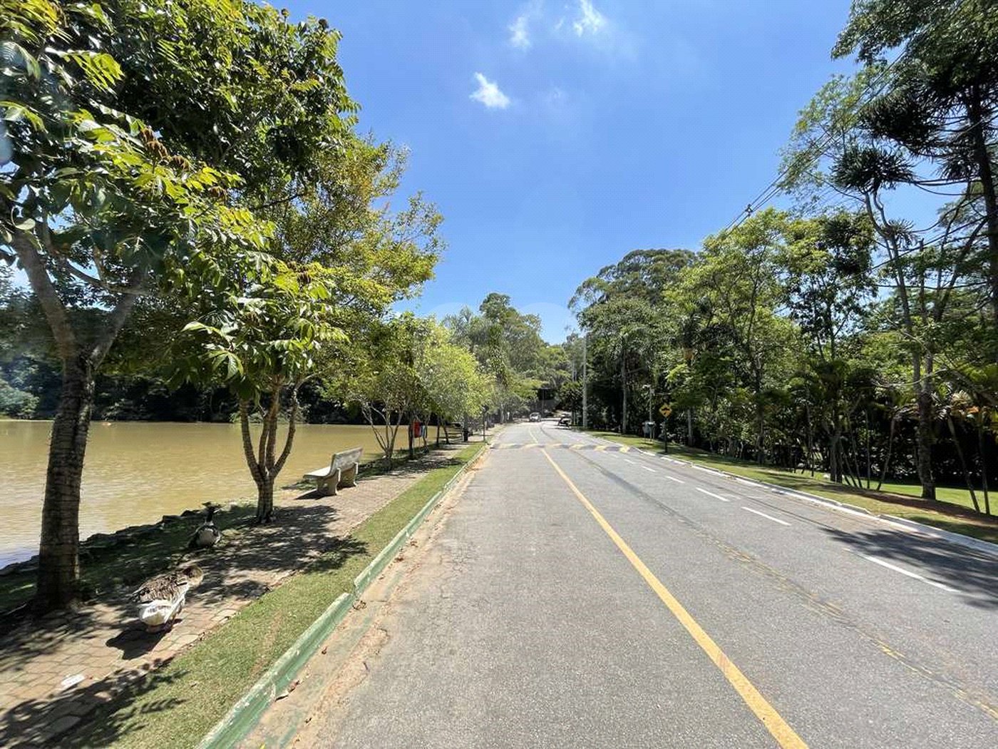 Casa de Alto Padrão à Venda e Locação - Condomínio Vila Verde