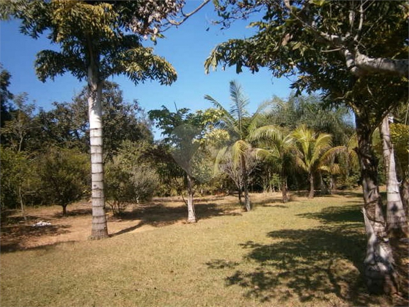 Chácara para venda no Aracê de Santo Antonio I