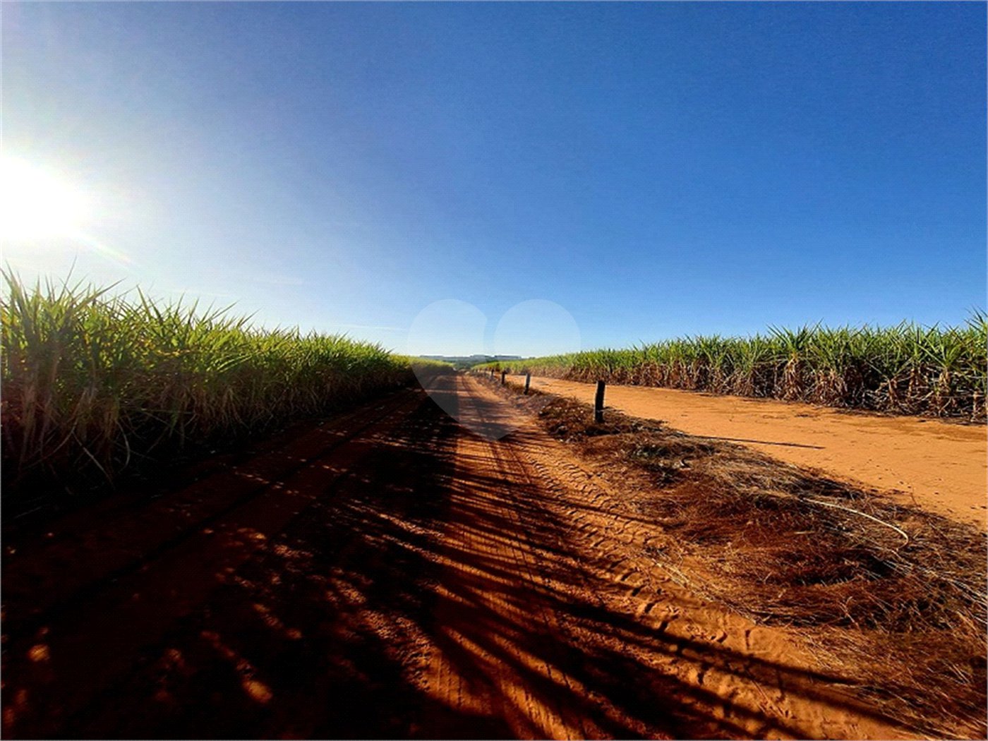 Fazenda em Ribeirão Bonito