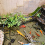 Sobrado Residencial no bairro Douradinho