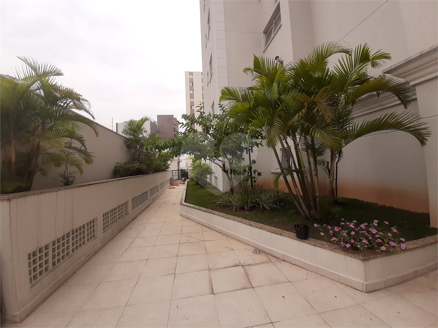 Apartamento 3 dormitórios sacada à venda no bairro de Santana em São Paulo