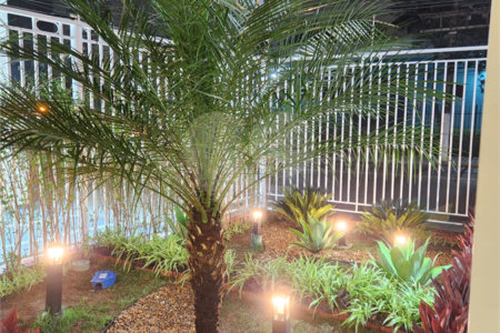 Apartamento na Vila Mascote | 1 dormitório | 1 vaga | Varanda