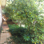 Casa térrea com piscina no Residencial Samambaia.