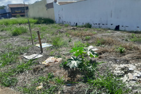 Terreno para venda no Parque dos Flamboyant em São Carlos.