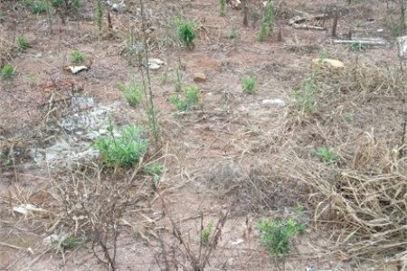 Lote no Jardim do Bosque, aceita financiamento ou aquisição de terreno e construção .