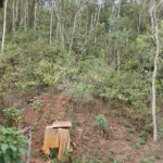Excelente terreno à venda com 2950 m²