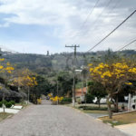 Casa à venda com 5 suítes no condomínio Ipe Velho, Vinhedo - SP