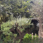 Casa Térrea à venda com 6 quartos, sendo 1 suíte, em Pirituba, São Paulo, SP