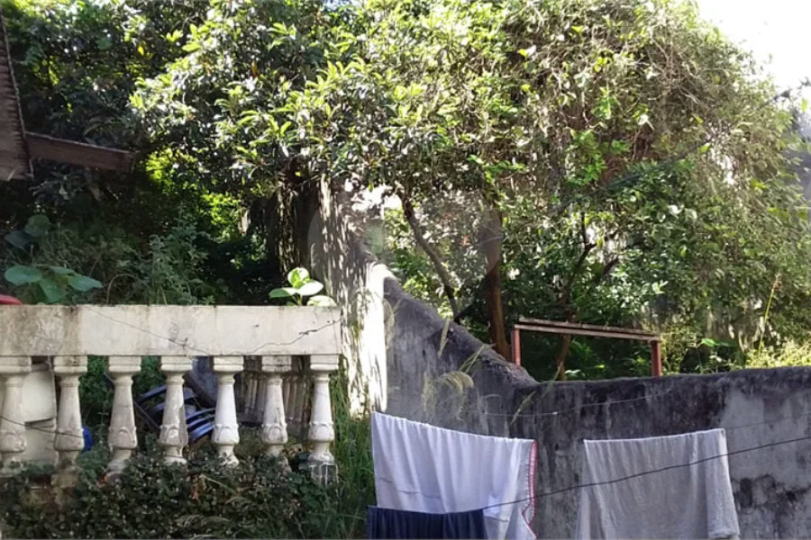 Terreno para alugar em Água Fria, São Paulo, SP