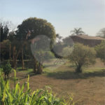Casa Térrea no Condomínio Vila Pinhal Do Broa