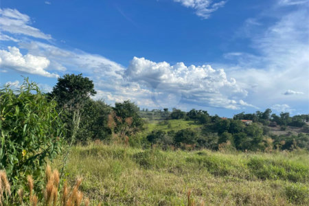 Terreno à venda em Arataba II, Louveira, SP