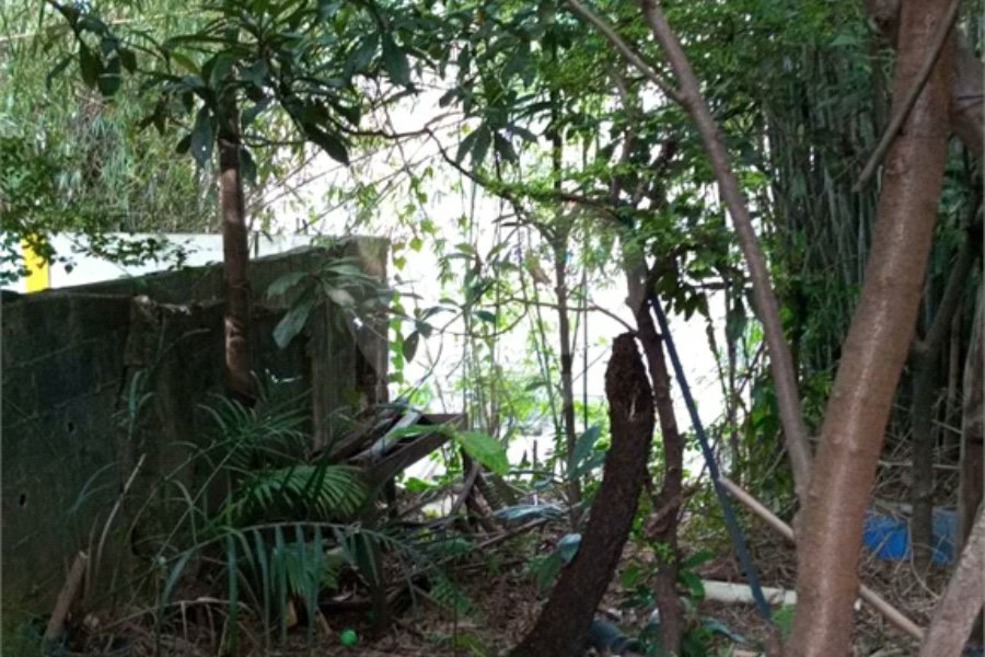 Casa à venda com 3 quartos, sendo 1 suíte, em Mandaqui, São Paulo, SP