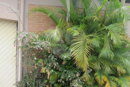 Galpão á venda - Zona Sul