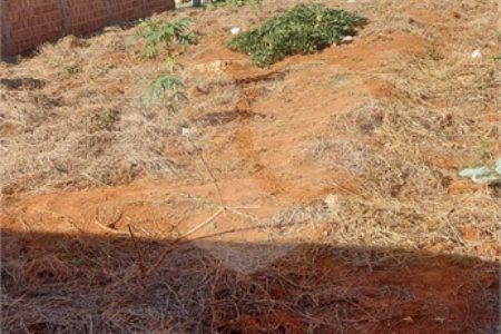 Terreno em Araraquara.