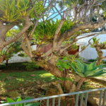Casa de Alto Padrão à Venda – Campo Belo | São Paulo/SP