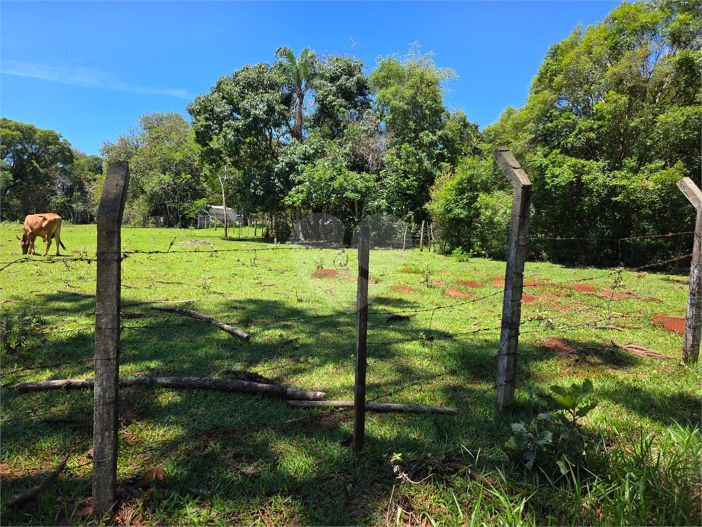 3021 m² de área para construção de chácara