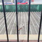 2 Casas – Bairro Aricanduva - c/ Salão Alugado – 56 m2 e 80 m2 – Terreno 5 x 25