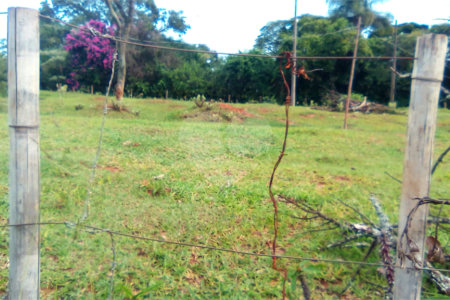 Terreno em Água Vermelha