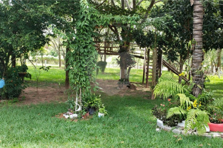 Sitio para venda.