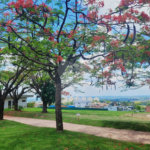 Oportunidade no Condomínio Villa Sapezal com ótima topografia - 360m² – Indaiatuba/SP
