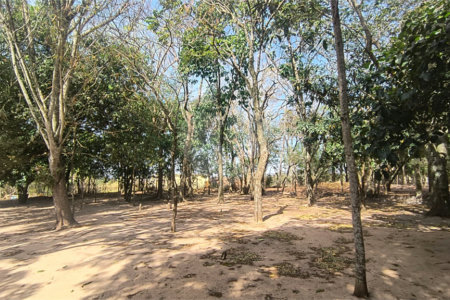 Chácara dos Sonhos à Venda – São Carlos/SP – Recreio Campestre