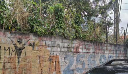Terreno à venda em Tucuruvi, São Paulo, SP