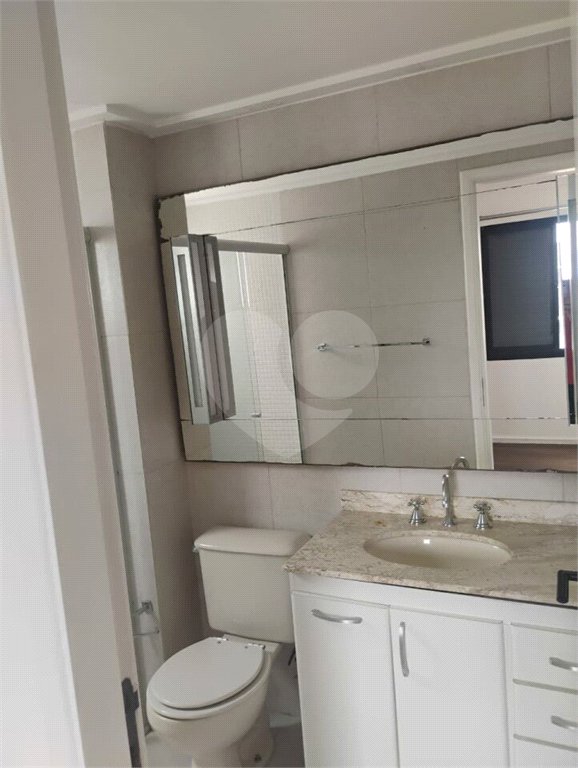 Lindo Apartamento Alto Da Boa Vista
