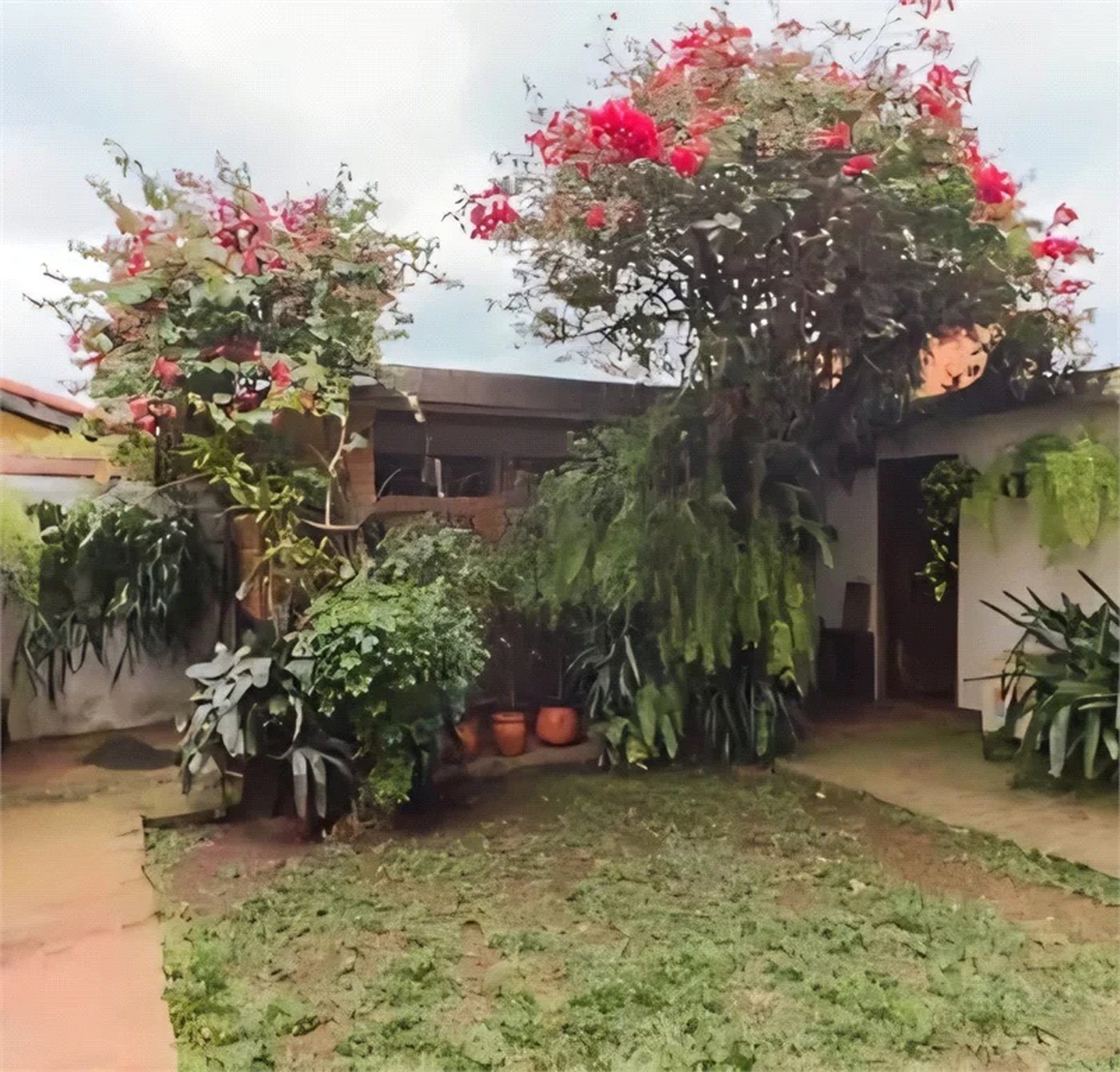 Seu novo lar espera por você no Butantã