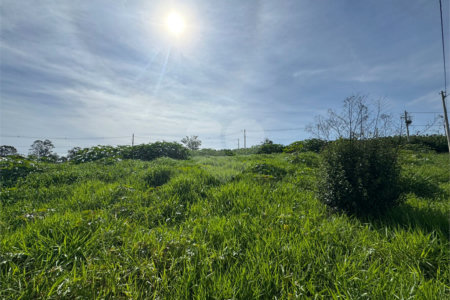 Terreno Comercial á venda com 286m2, ao lado da Rodovia Washington Luiz, em São Carlos.