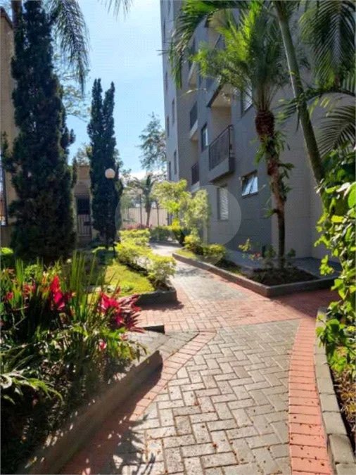 Apartamento à venda com 2 quartos em Vila Nova Cachoeirinha, São Paulo, SP