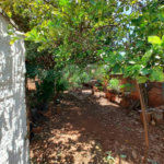 Casa à Venda no Centro de Piracicaba – Espaço, Conforto e Excelente Localização