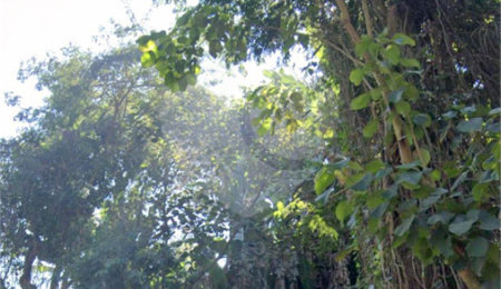 Terreno à venda no condomínio Teodoro Lanhoso, São Paulo - SP