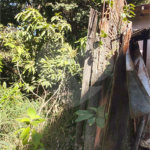 Casa térrea no Centro