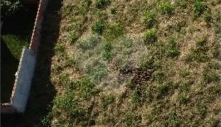 Terreno à venda em Jardim Guanabara II, Maracaju, MS