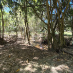 Sítio à venda com 7 alqueires, em Serra do Capetinga, Itapeva - MG