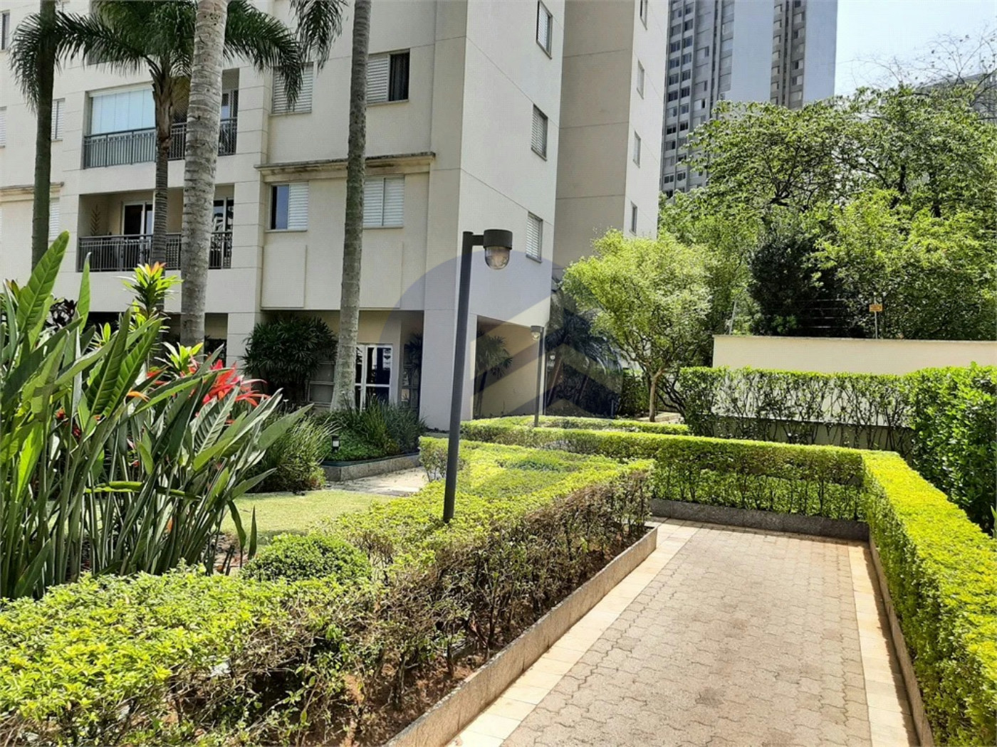 Apartamento à venda ou para alugar com 3 quartos, sendo 1 suíte, em Vila Suzana, São Paulo - SP