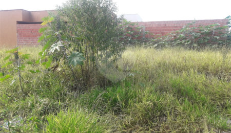 Terreno à venda no condomínio Parque Industrial, São Carlos - SP