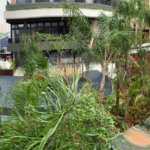 Apartamento a venda no Bras em frente ao Metro