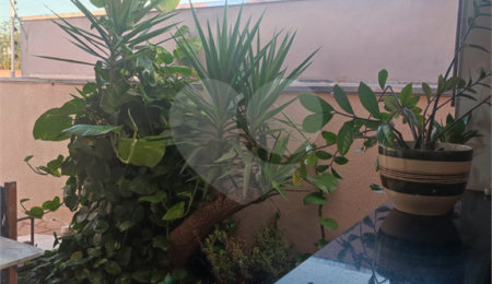 Casa à venda com 3 quartos, sendo 2 suítes, em Jardim das Torres Prolongamento, São Carlos, SP