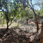 Sitio São João - Km 258