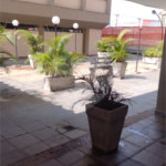 Apartamento na Região do Ipiranga à 8 Minutos do Metrô com 2 Dormitórios .