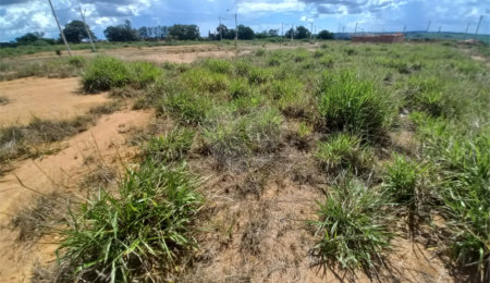 Terreno à venda em Residencial Arcoville, São Carlos, SP