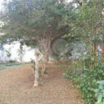 Casa á venda - Jabaquara
