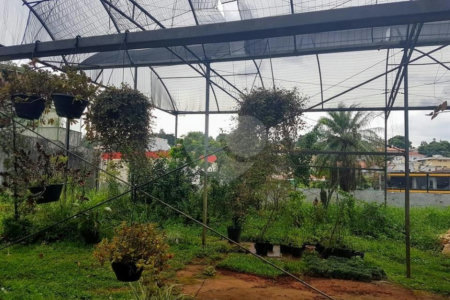 Terreno residencial/comercial com 1245m² a venda ou locação no Alto da Boa Vista, São Paulo - SP