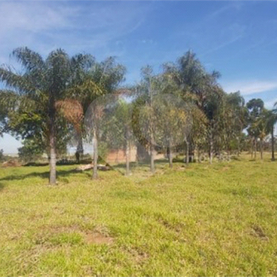 Sitio no Jardim Embaré