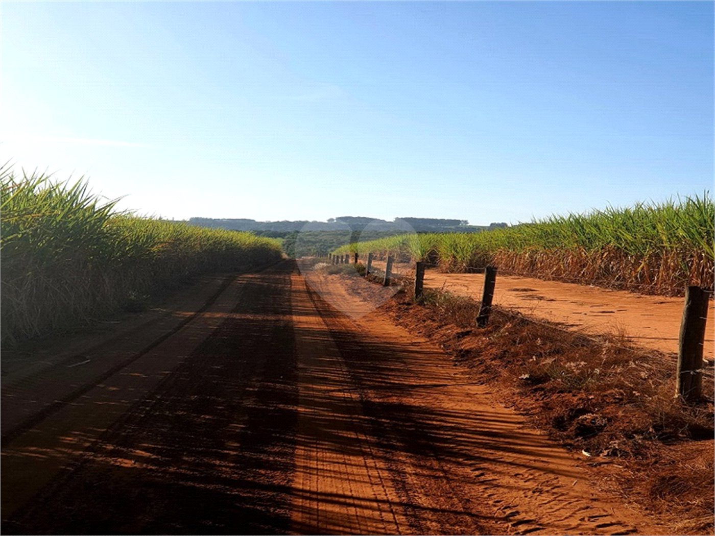 Fazenda em Ribeirão Bonito