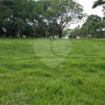 Sitio para venda.