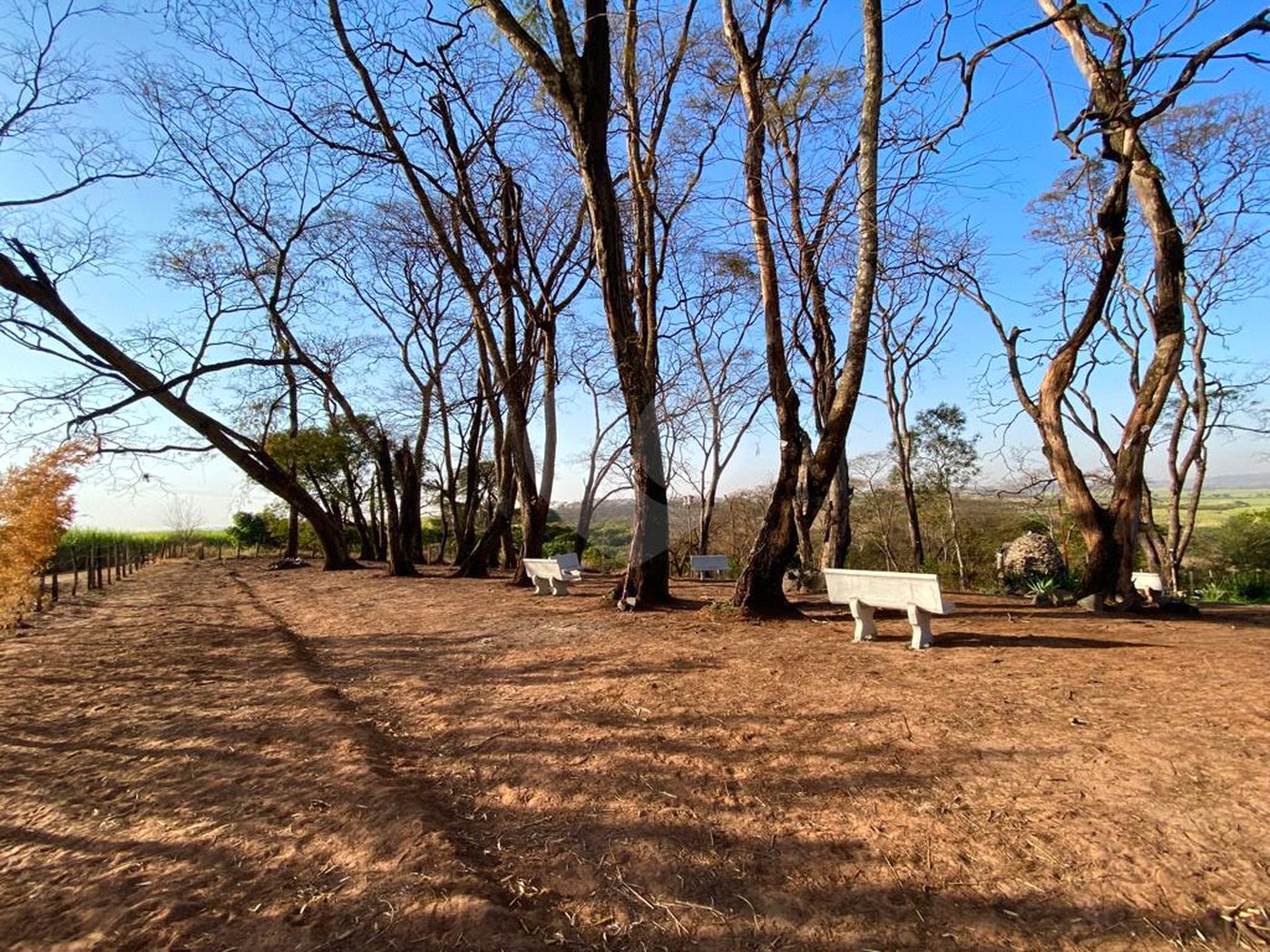 Sítio na cidade de Taiuva-SP.