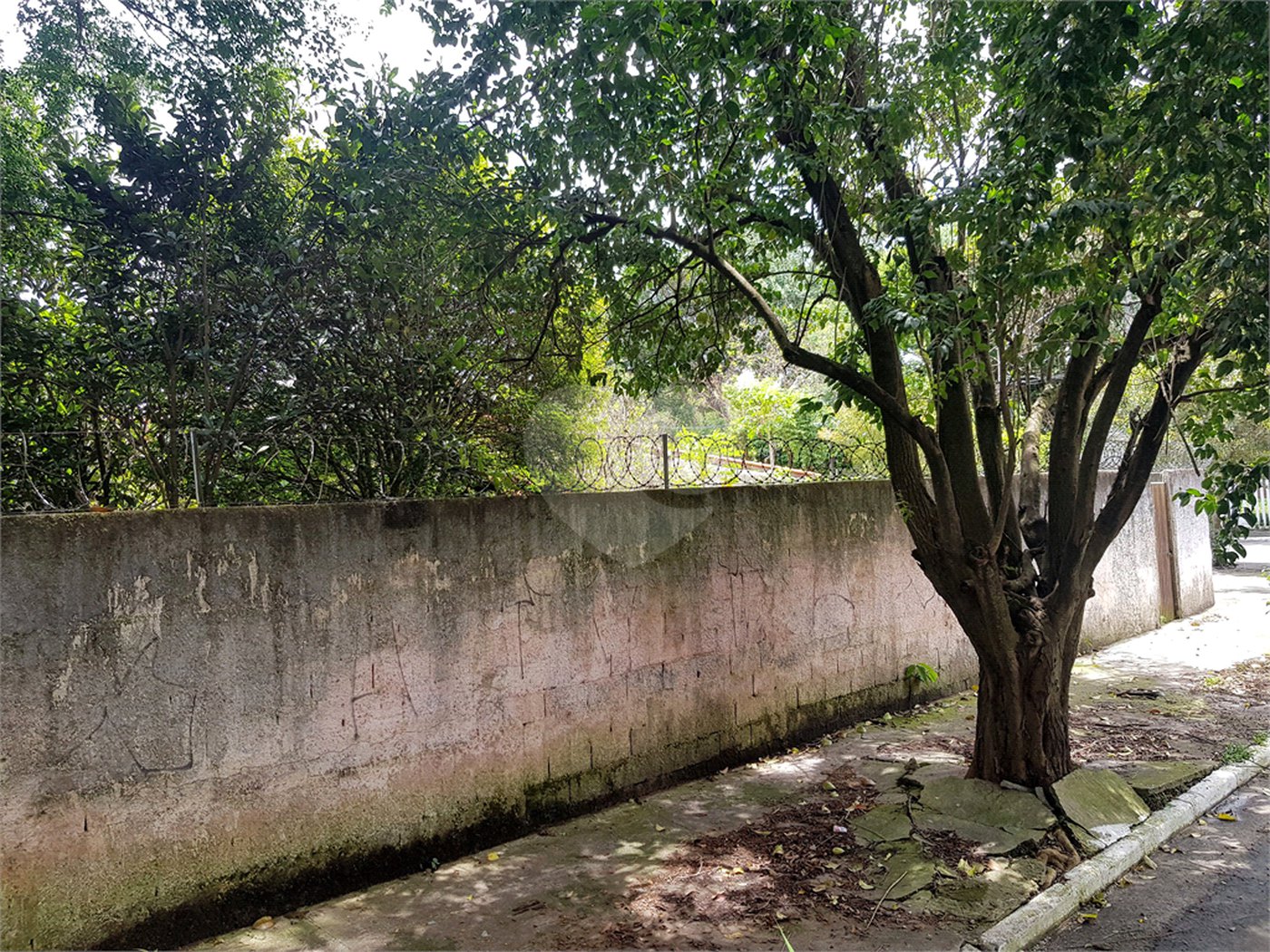 Terreno à venda em Jardim Campo Grande, São Paulo, SP