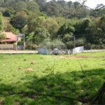 Terreno com 20.000m² à venda - no Parque Nova Xampirra, Jundiaí/Itatiba